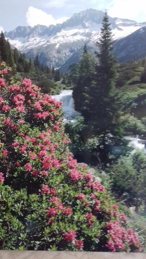 Albergo La Valle ดาวเน ภายนอก รูปภาพ